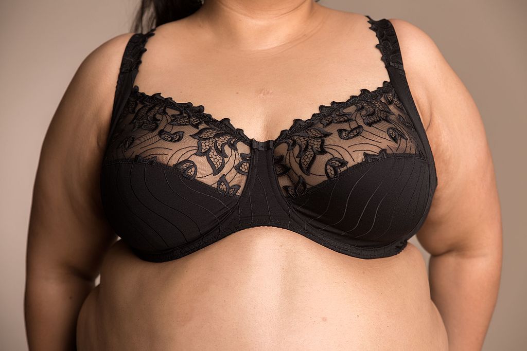 10 Best Bras for Plus Size Women (September2024) Your Wear Guide